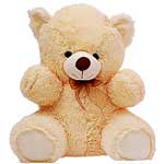 Gifts to Delhi : Soft Toys to Delhi