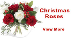 Send Christmas Roses to New Delhi