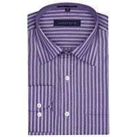 Diwali Gift Delivery in Meerut with ACROPOLIS MENS FORMAL SHIRT ST001