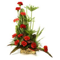 Same Day Flowers Delivery in Noida