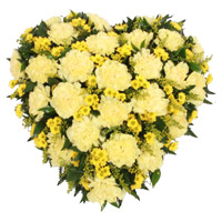 Online Flowers Delivery in Noida