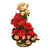 Send Diwali Flowers to Meerut Online