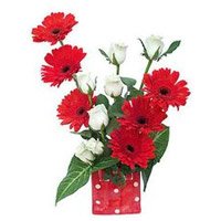 Send Flowers to Delhi : Red Gerbera White Roses