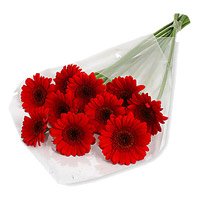 Same day Flowers Delivery in Delhi 
