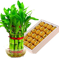 Same Day Diwali Gifts Delivery New Delhi : Online Gifts to Delhi