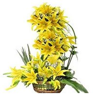 Online Flower Delivery Same Day in Delhi, Yellow Lily 2 Ft Arrangement 50 Flower Stems