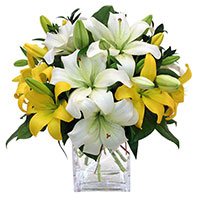 Online Flower Delivery Ghaziabad