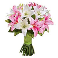 'Father's Day Flower Delivery in Delhi :  Pink White Lily 