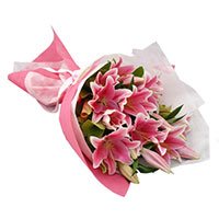 New Year Flowers in Delhi : Buy Pink Lily flowers to Delhi
