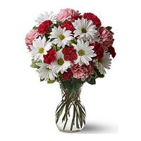Flowers to Delhi Vivek Vihar