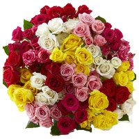 Deliver Online Flowers to Jalandhar