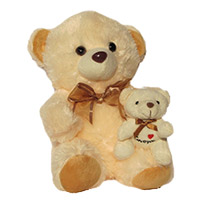 Send Gifts to Delhi - Teddy Day Gifts