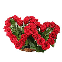 Deliver Rose Day Flowers to Agra