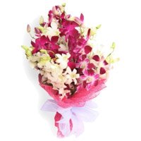 Anniversary Orchids Flower Delivery in Delhi