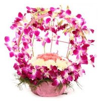 Send Flowers to Delhi Online : Pink Roses Heart