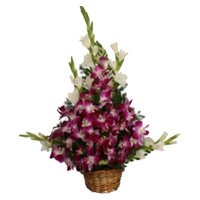 Send Flowers to Delhi - Orchid Arrangements