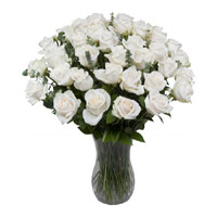 Deliver Flowers to Delhi : White Roses