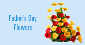 Send Fathers Day Flowers