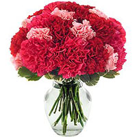 Deliver Mothers Day Flowers in Delhi