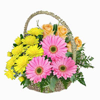 Flowers to Delhi : Send Flowers to Delhi