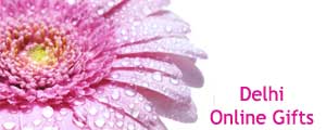 Flowers to Delhi : Send Gifts to Delhi