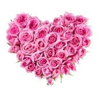 Flowers Delivery in Delhi : Pink Roses Heart