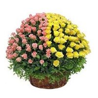 Online Flowers Delivery to Delhi