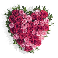 Send Flowers to Delhi Same Day Delivery : Pink Red Roses Heart
