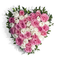 Send Flowers to Delhi : Pink White Roses Heart