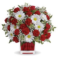 Cheap Flower Delivery in Faridabad