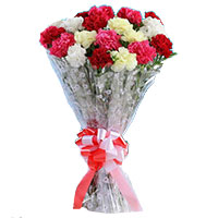 Carnation Flowers to Delhi