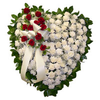 Same day Flowers Delivery in Noida