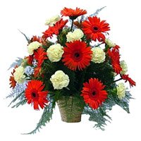 Send Christmas Flower to Delhi