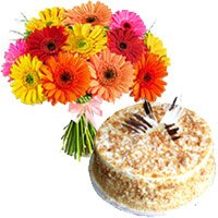 Mix Gerbera and Butter Scotch Cakes to Delhi