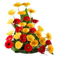Online Flowers to Delhi