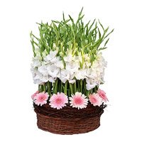 Send Online Flowers to Delhi