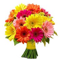 Midnight Flowers to Delhi : Mix Gerbera Bouquet