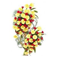 Christmas Flowers to Delhi : Flower Delivery in Delhi