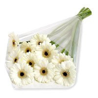 Send Flowers to Delhi - White Gerbera