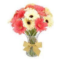 Best Online Christmas Flowers to Gurugram