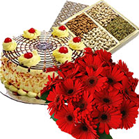 Online Gifts Delivery in Delhi NCR