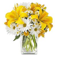 Flowers to Delhi : Yellow Lily White Gerbera