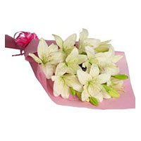 Same Day Flower Delivery in Delhi :  Pink White Lily