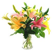 Flowers Delivery in Delhi