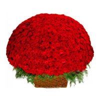 Send Birthday Flowers to Delhi : 500 Rose Baket