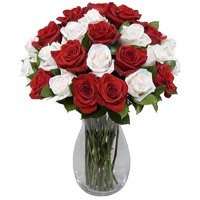 Best White Roses in Delhi