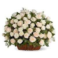 Flowers to Delhi : White Roses