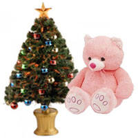 Online Christmas Gifts to Delhi