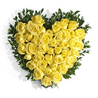 Deliver Flowers to Delhi : 40 Yellow Roses Heart
