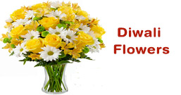 Diwali Flower to Delhi